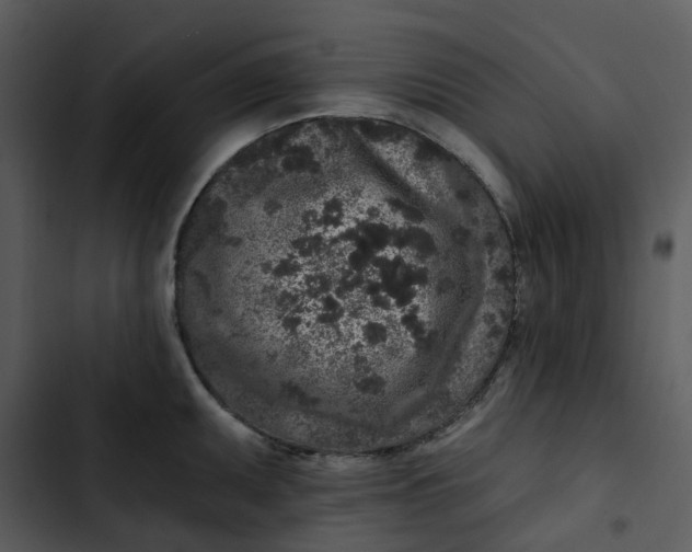 X0000102831095200809081149