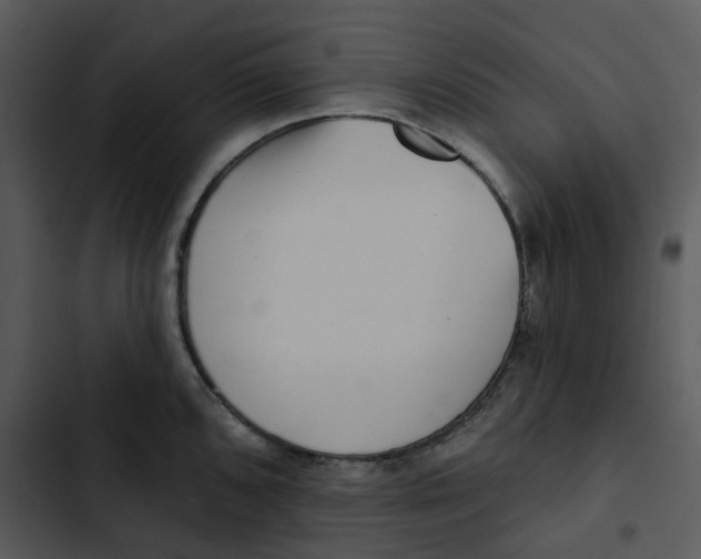 X0000102831096200809081149