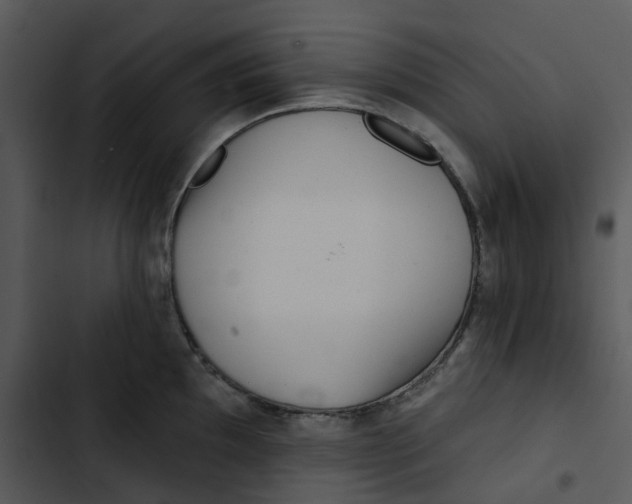 X0000102831097200809081149