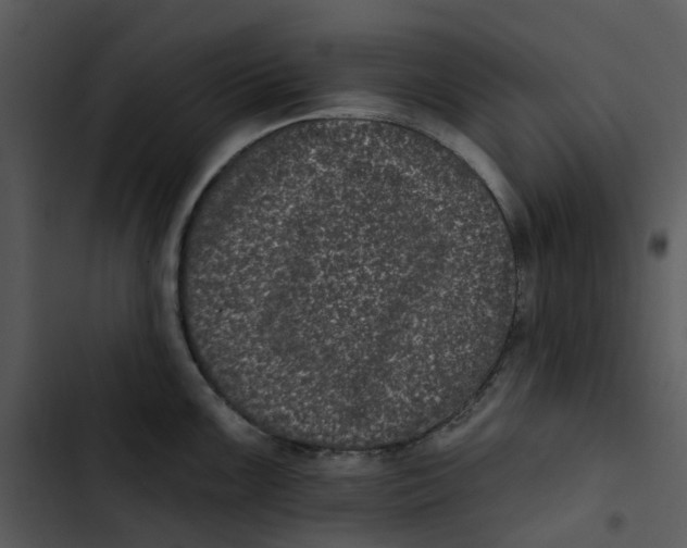 X0000102831099200809081149