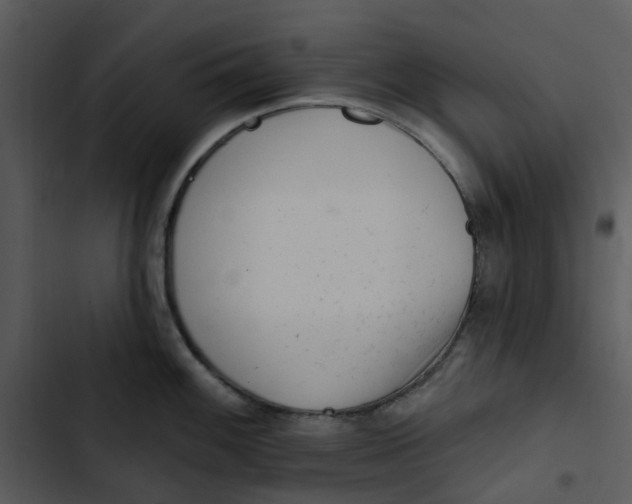 X0000102831100200809081149