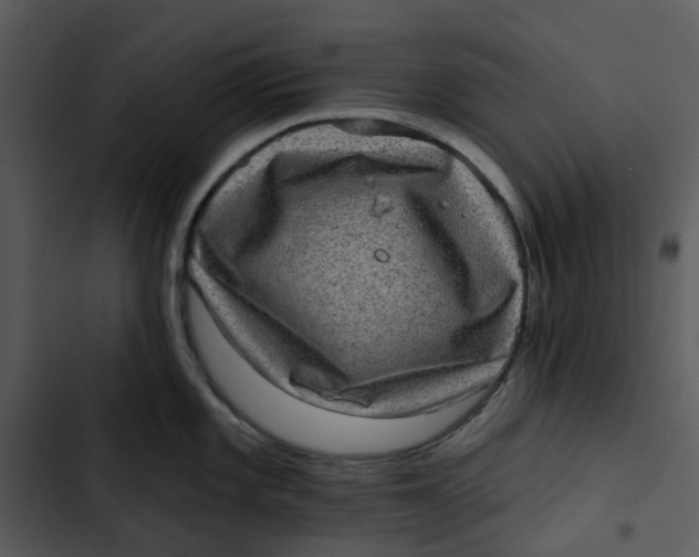 X0000102831101200809081149