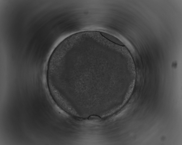 X0000102831102200809081149