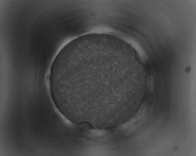 X0000102831103200809081149