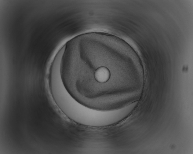 X0000102831104200809081149