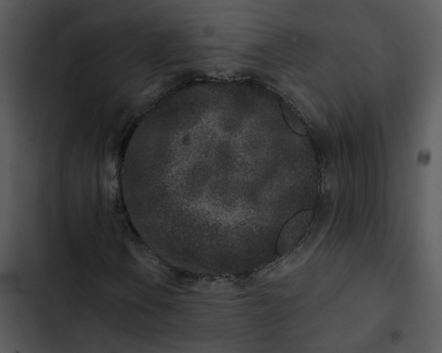 X0000102831106200809081148