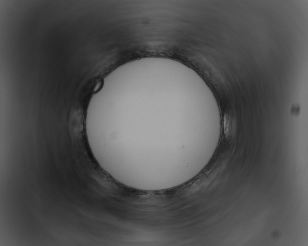 X0000102831107200809081148