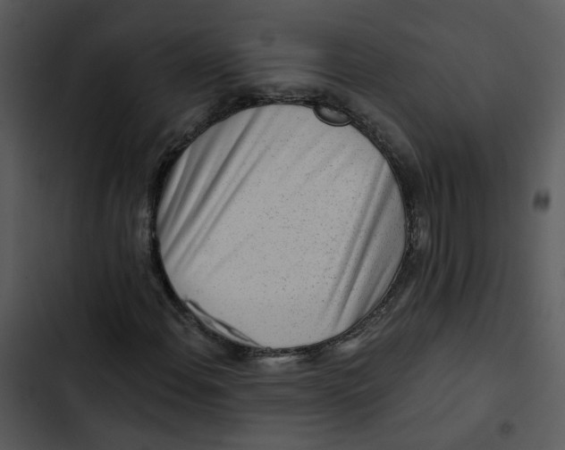 X0000102831108200809081148