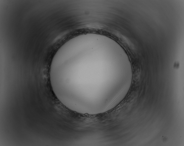 X0000102831110200809081148