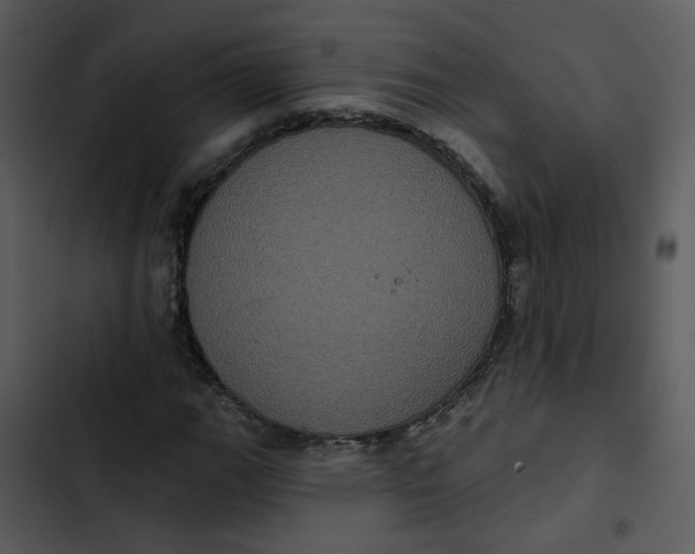 X0000102831111200809081148