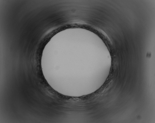 X0000102831112200809081148