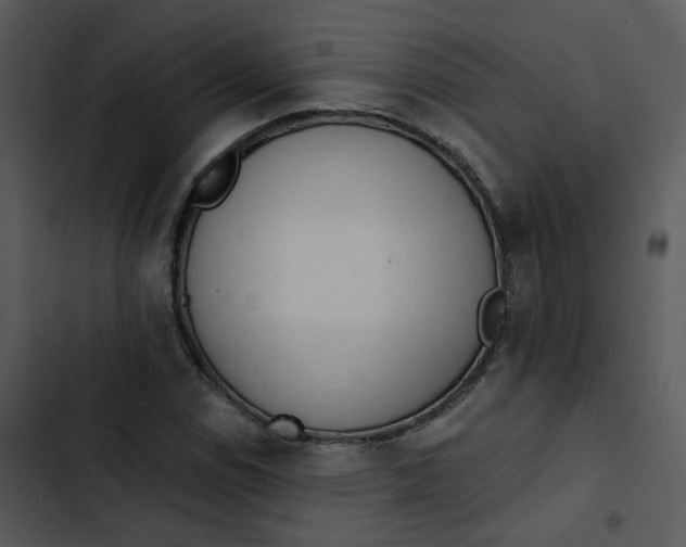 X0000102831114200809081149