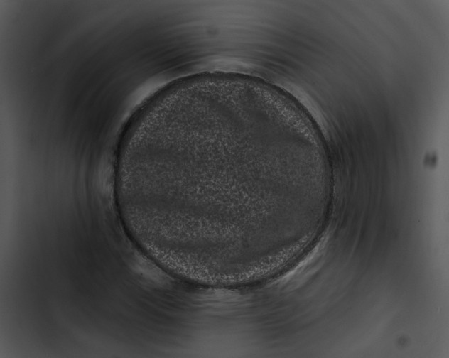 X0000102831115200809081149