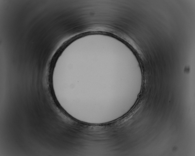 X0000102831116200809081149