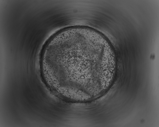 X0000102831118200809081149