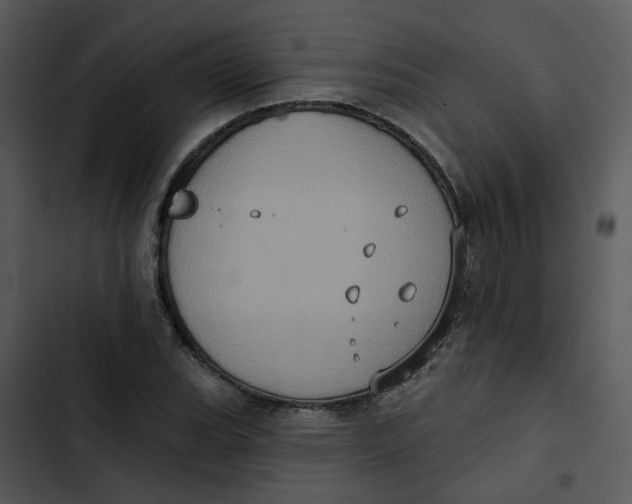 X0000102831119200809081149