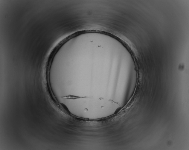 X0000102831120200809081149