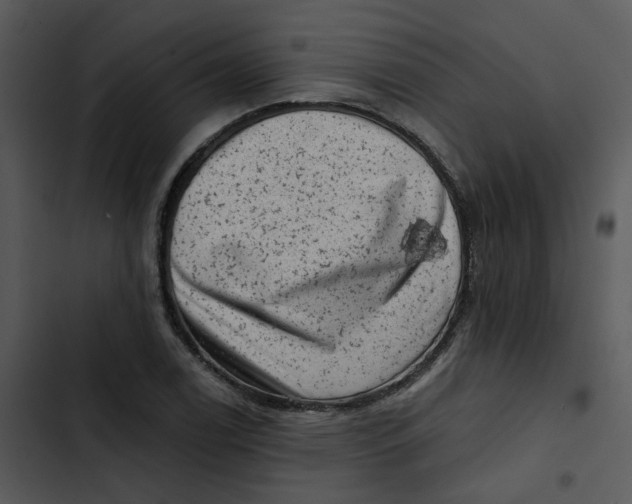 X0000102831122200809081149