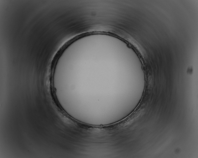 X0000102831124200809081149