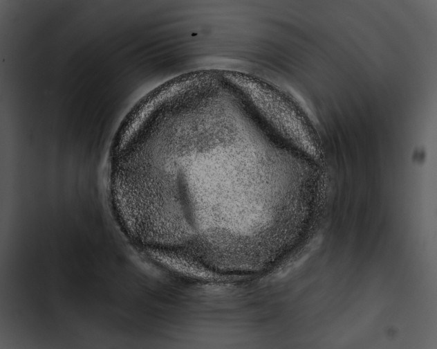 X0000102831125200809081149