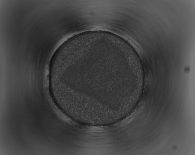 X0000102831126200809081149