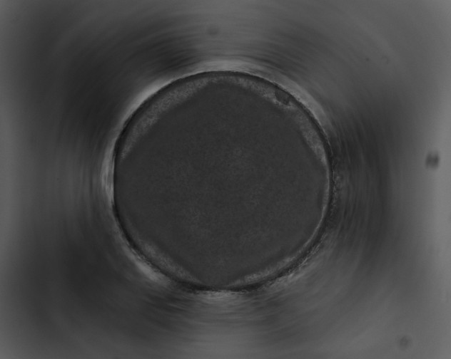 X0000102831127200809081149