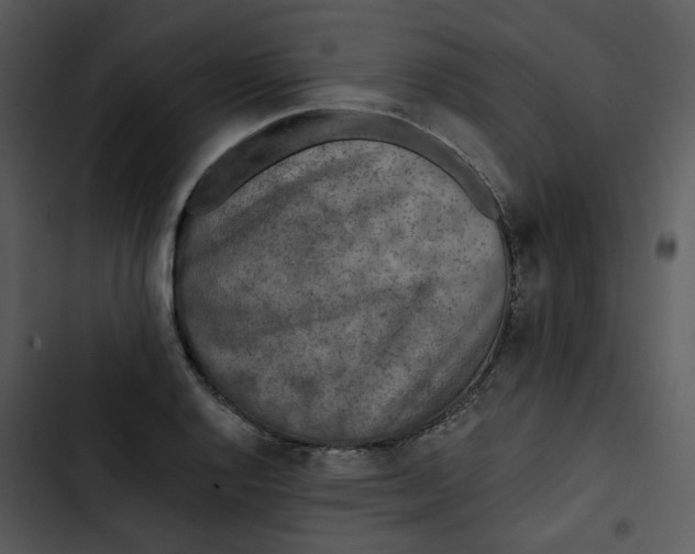 X0000102831128200809081149