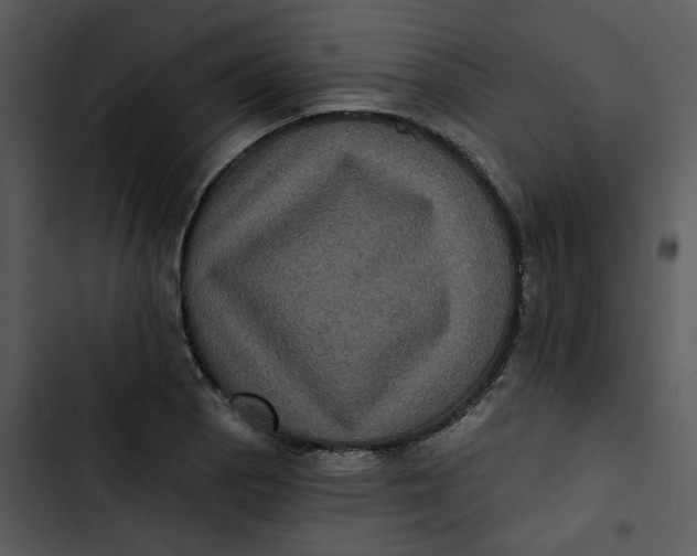 X0000102831129200809081149