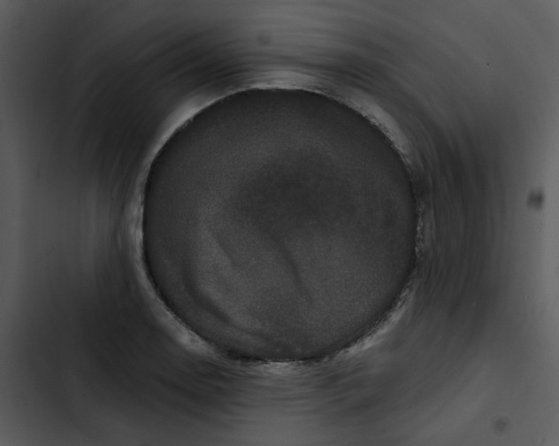 X0000102831130200809081149