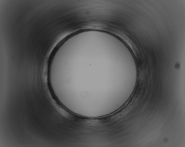 X0000102831131200809081149