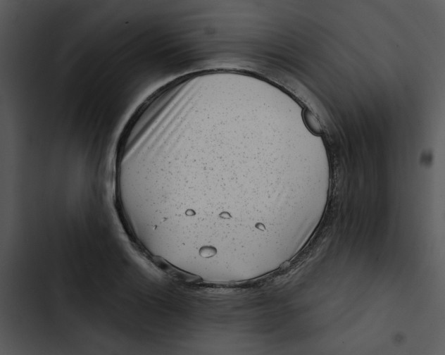 X0000102831132200809081149