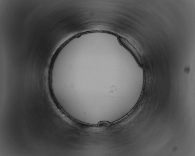 X0000102831134200809081149