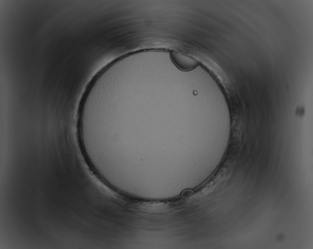 X0000102831135200809081149