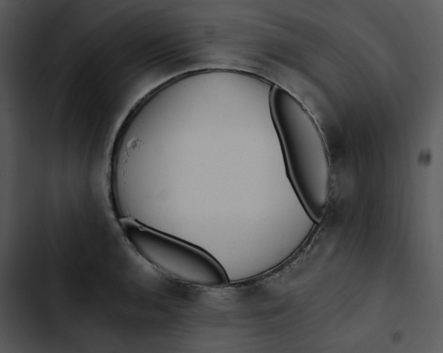 X0000102831136200809081149