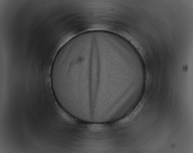 X0000102831137200809081149