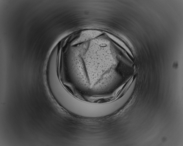 X0000102831138200809081149