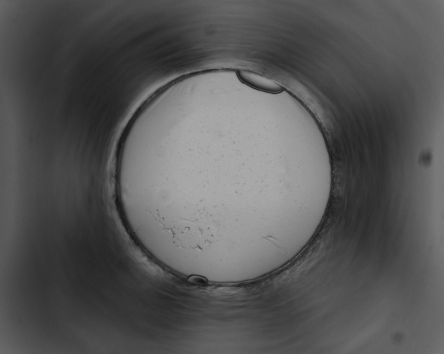 X0000102831140200809081149