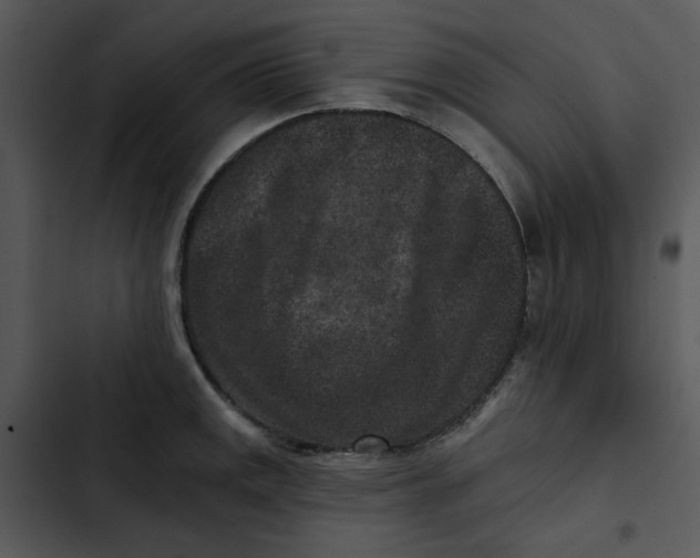 X0000102831141200809081149