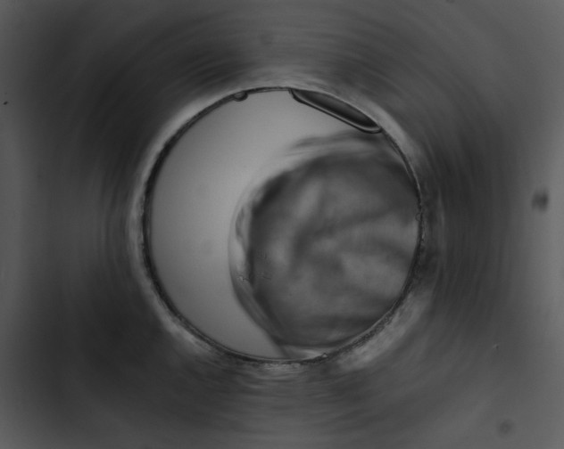 X0000102831144200809081149