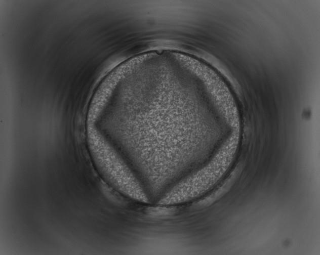 X0000102831145200809081149