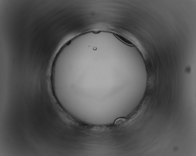 X0000102831146200809081149