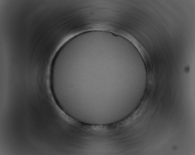 X0000102831147200809081149