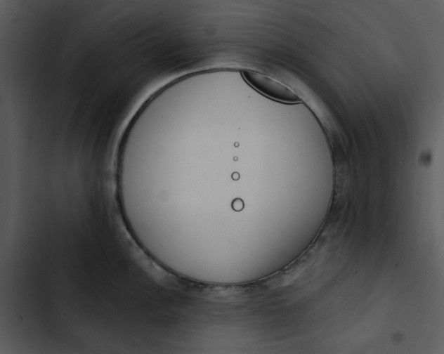 X0000102831148200809081149