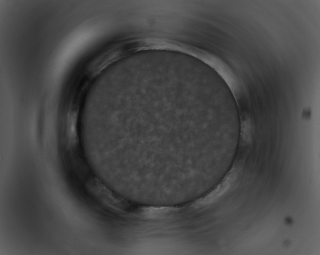 X0000102831150200809081149