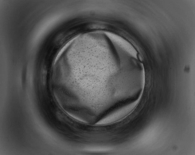 X0000102831151200809081149