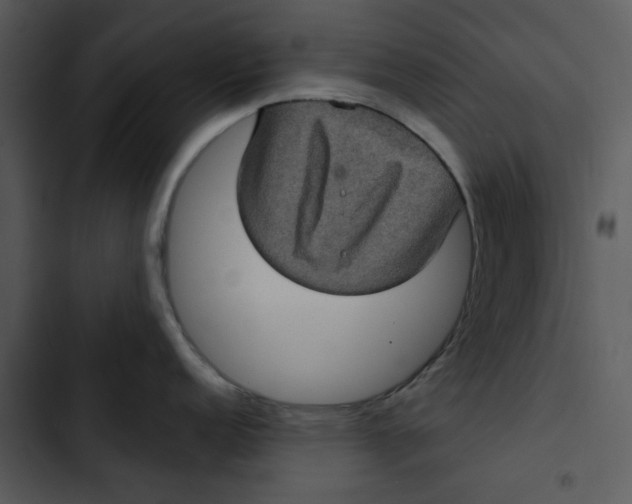 X0000102831152200809081149