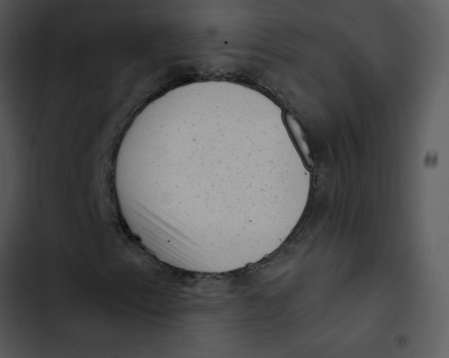 X0000102831153200809081148