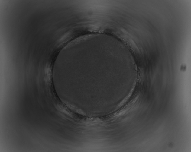 X0000102831154200809081148