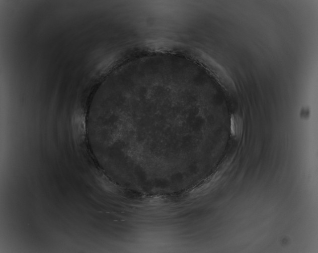 X0000102831155200809081148