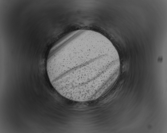 X0000102831156200809081148